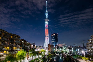 Timeline Image 6