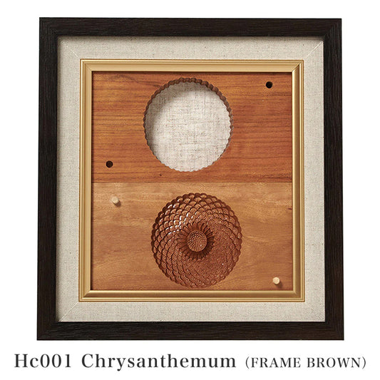 Chrysanthemum (Chrysanthemum morifolium)